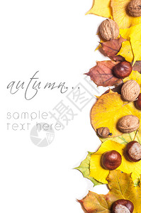 秋天自然概念秋季水果和蔬菜倒在木柴上的图片