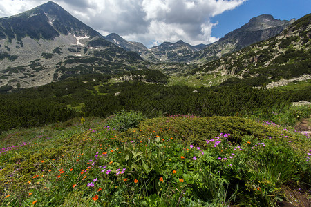 皮林山风景保加利亚图片