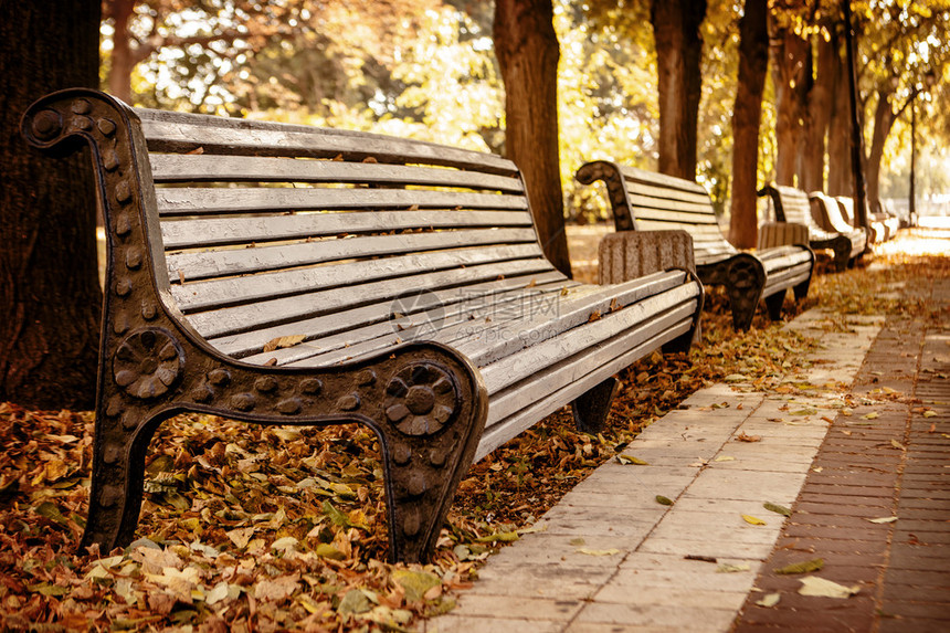 秋天公园的长椅秋天的风景图片