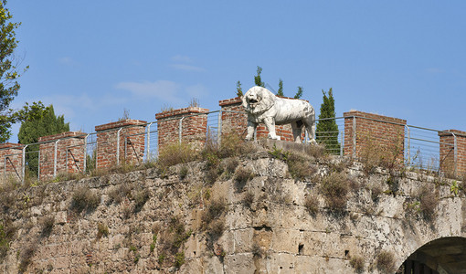 意大利托斯卡纳比萨1156年科格里菲领事背景