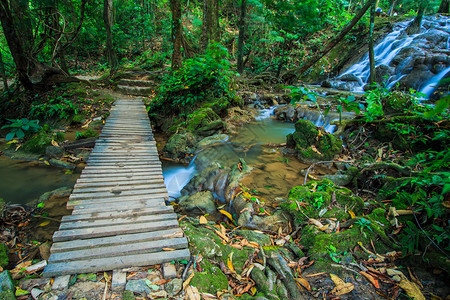 森林瀑布上的木桥图片