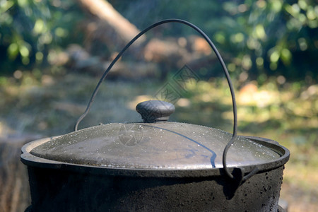 黑铁锅在树林里用煤图片