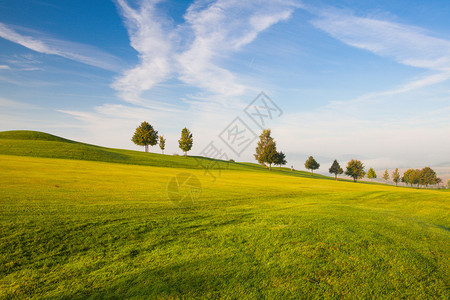 空荡的高尔夫球场上雾蒙的早晨图片