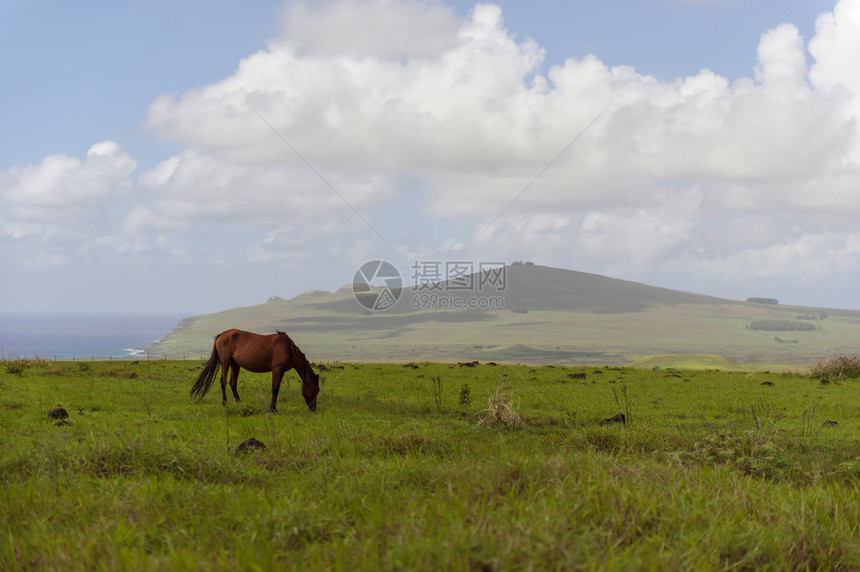 南美洲复活节岛马匹山脉图片