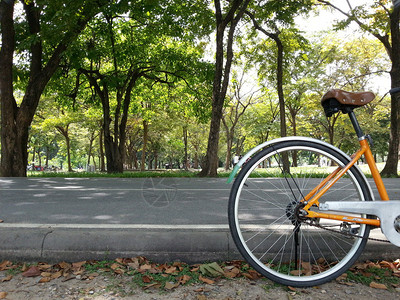公园自行车图片