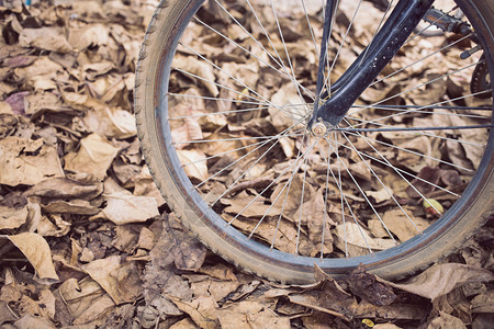 自行车和秋天的干叶落在地上图片