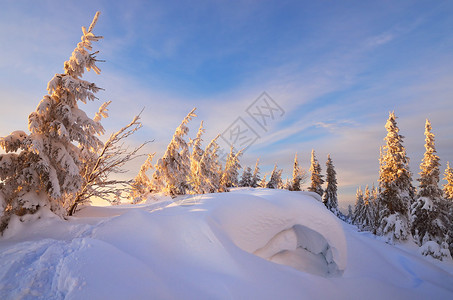 山上冬季森林雪漂图片