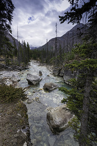 加拿大Kootenay公园MarbleCanyon的河流和岩图片