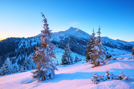 冬天山上的雪树图片