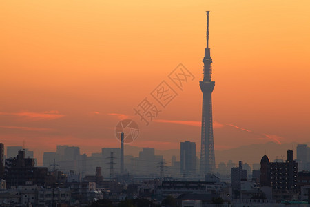 秋季东京城市景观和日落天空图片