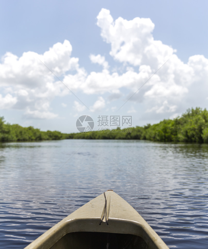 美国Everglades公园的Ka图片