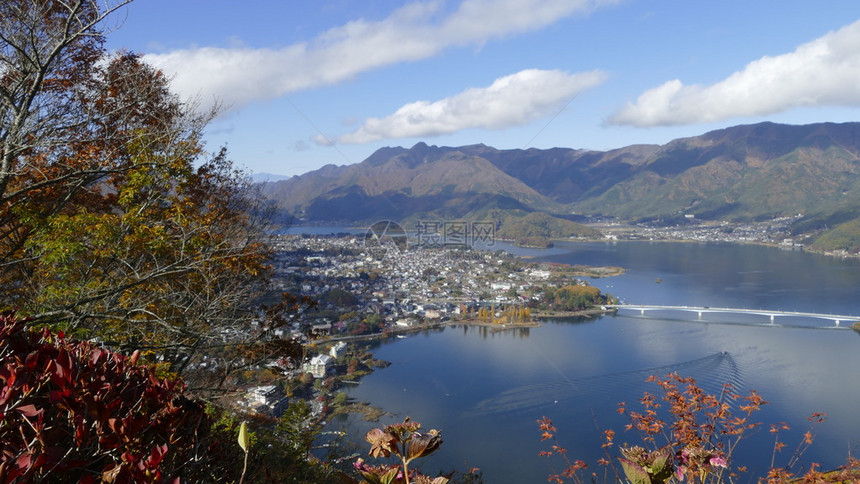 Kawaguchiko湖的藤和樱花图片