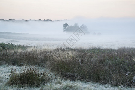 美丽的浓雾日出秋瀑布的地貌在田野上图片