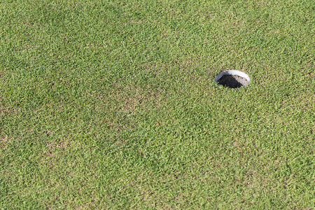 绿草上的高尔夫球洞高尔夫球场图片