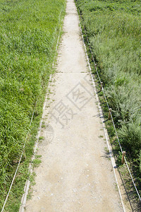 银色草地上的笔直路径图片
