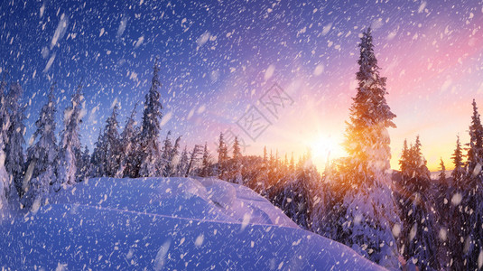 与新鲜雪的圣诞景观冬季全景图片