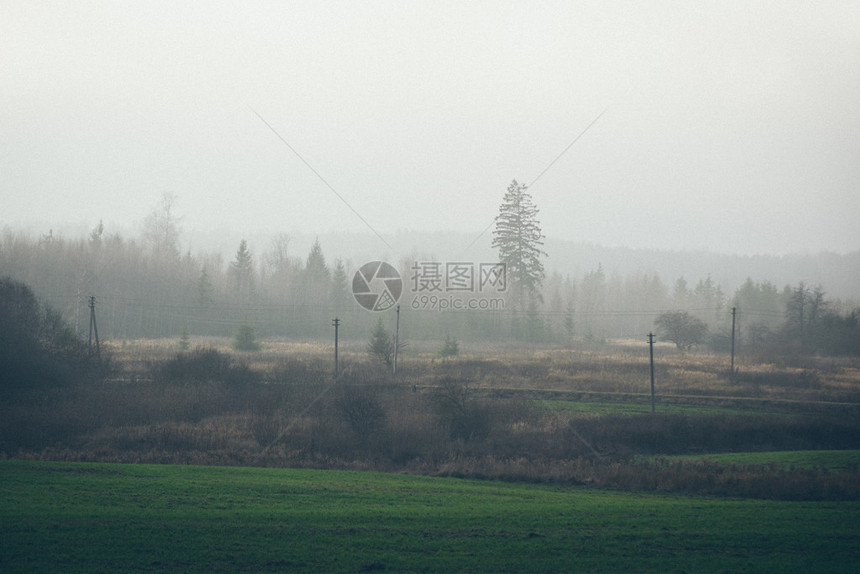 美丽的绿色草地图片