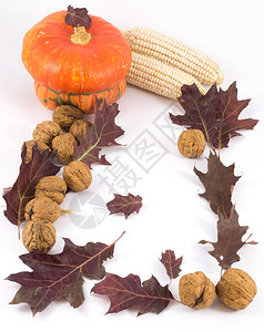 白色背景上的秋季组合物南瓜叶玉米坚果图片