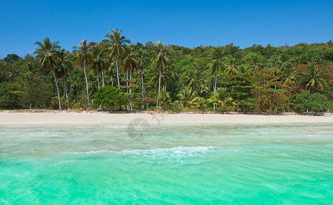 旅行度假背景有度假村的热带岛屿泰国图片