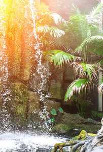 丛林中瀑布的美丽景色图片
