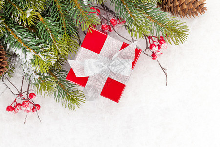 圣诞枞树枝与冬青浆果和雪地上的礼品盒图片