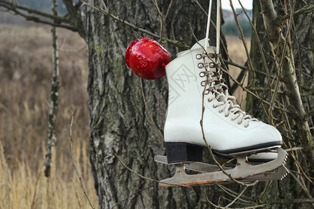 一对白溜冰鞋和挂在树上的红苹果图片