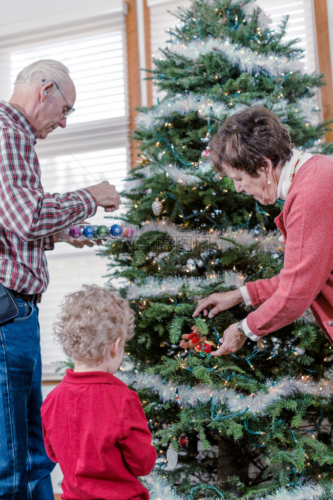 有孙子的祖父母在家装饰圣诞树图片
