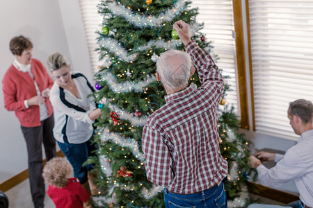 家庭装饰美丽的圣诞树活图片