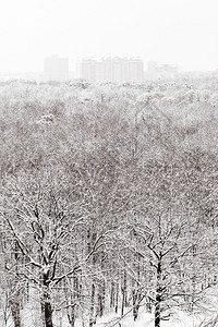 冬季降雪中的大雪森林和城市的俯视图图片