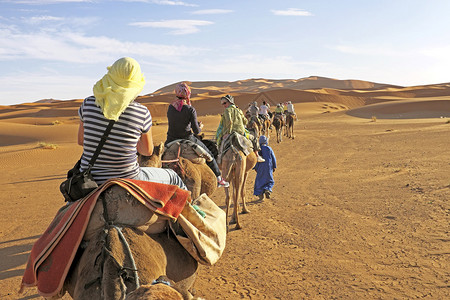 骆驼商队穿过撒哈拉沙漠的沙丘图片