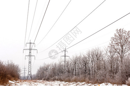 支持冬季高压电力线图片