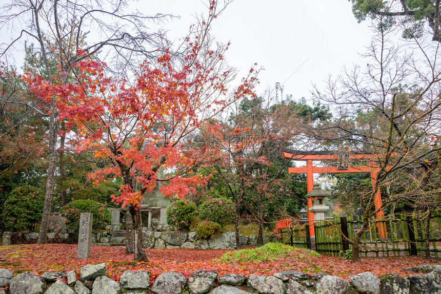 这座寺庙被列入联合国教科文组织世界文化遗产名录图片