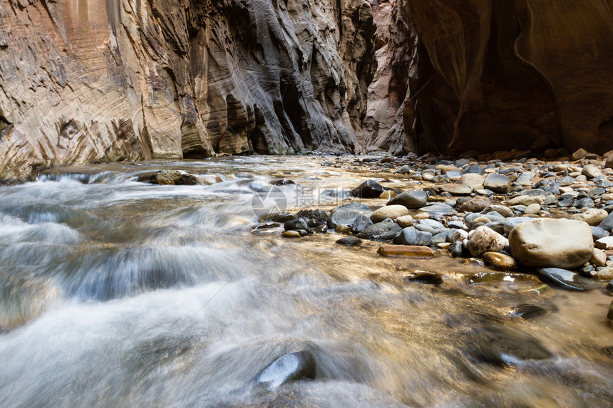 锡安公园中美丽的狭窄风景圣洁的河流经山洞峡谷图片