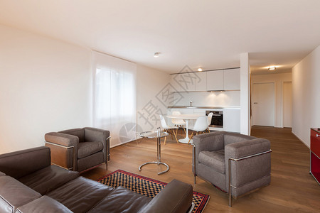建筑舒适的公寓宽敞的客厅图片