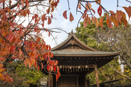 上野公园的神道寺庙图片