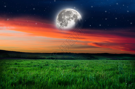 美丽的夜间野外背景这个图像的元素由美图片
