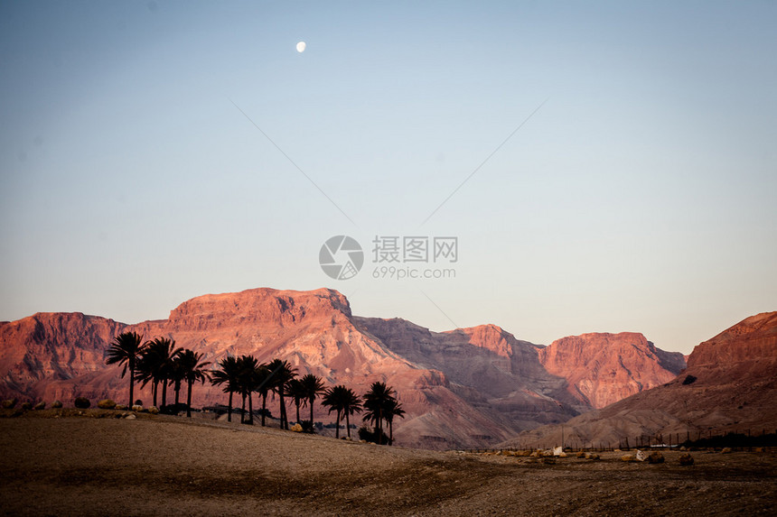 约旦河西岸的以色列石头沙漠图片