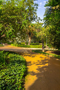 穿过西班牙马拉加公园花的漫步道图片