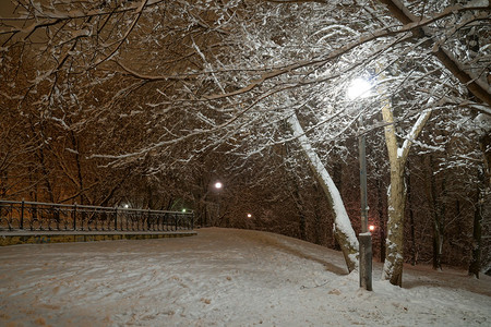 公园降雪后的冬夜图片