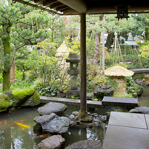 绿色的和深厚的日式花园有鲤鱼湖泊石图片