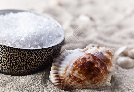 海盐和海沙上的贝壳图片