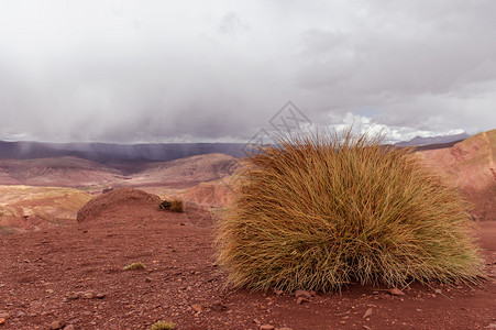 玻利维亚山脉高原沙漠和绿色景观树木和岩石沙子和水天空和大地南美图片