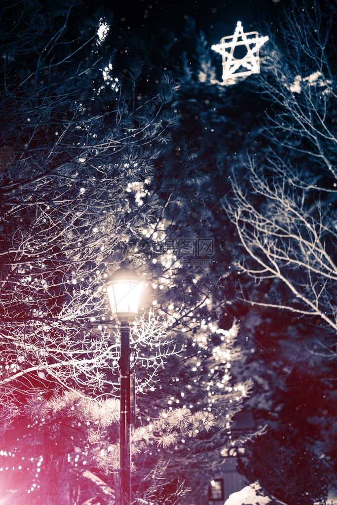 圣诞树公园绿灯和落雪的季节风景圣图片