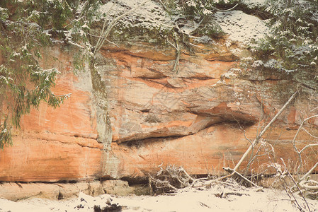 拉脱维亚高贾斯公园河岸的冬季沙石悬崖图片