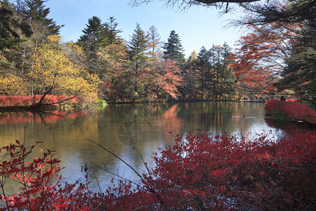 池塘秋色图片