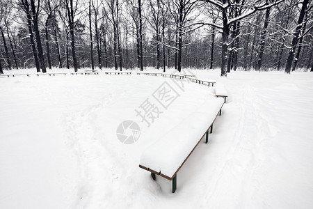 冬季城市公园内有长凳的图片