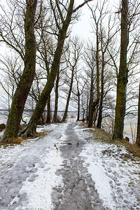 在湖边的寒冬日里充满着暴雨和滴图片