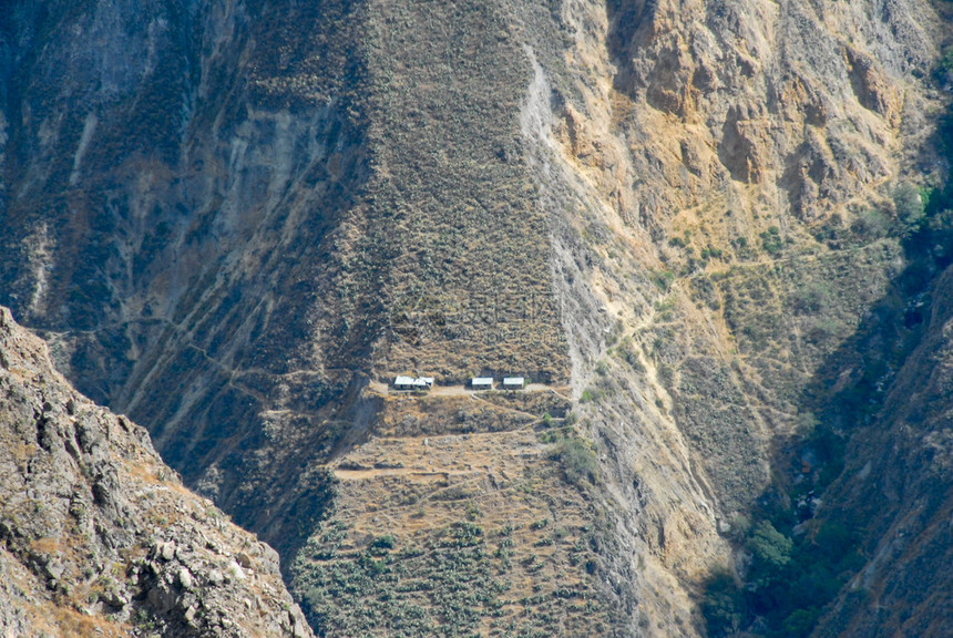 从MiradorCruzdelCondor欣赏南美洲秘鲁科尔卡峡谷的景色图片
