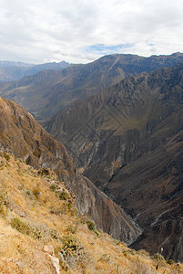 秘鲁科尔卡峡谷南美的全景图片