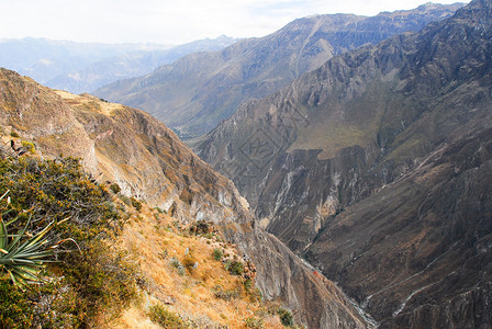 秘鲁科尔卡峡谷南美的全景图片